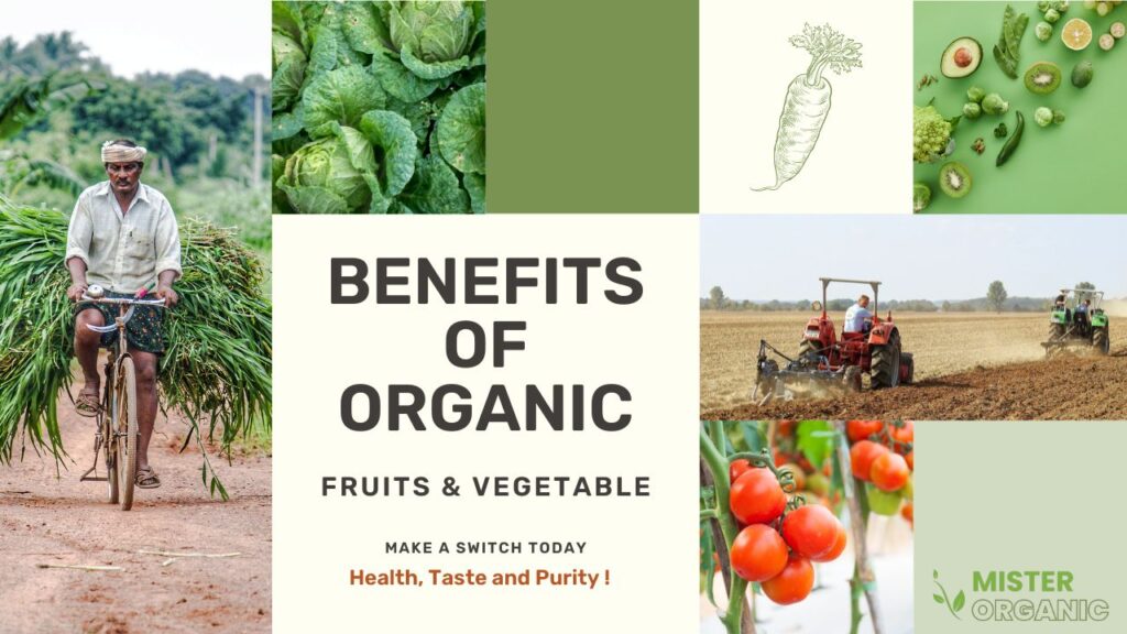 Benefits of Organic Fruits and Vegetables
